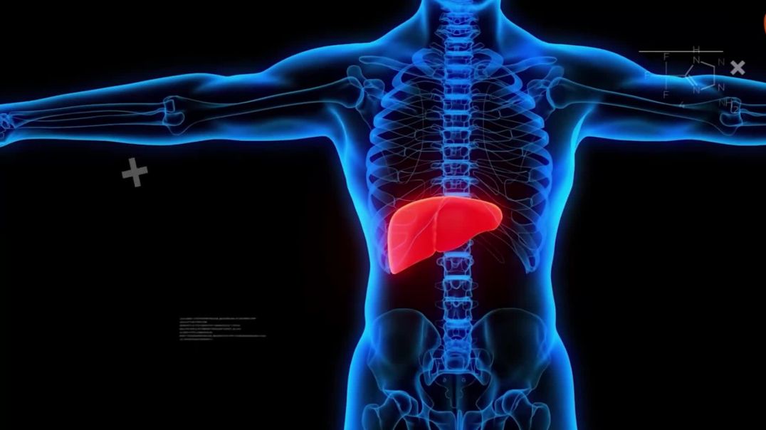 5 Top Signs Your Liver is getting Damaged and  Ways to Save It