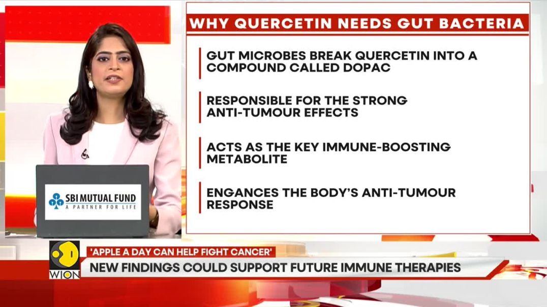 Gut microbes are essential for activating quercetin in the fight against cancer