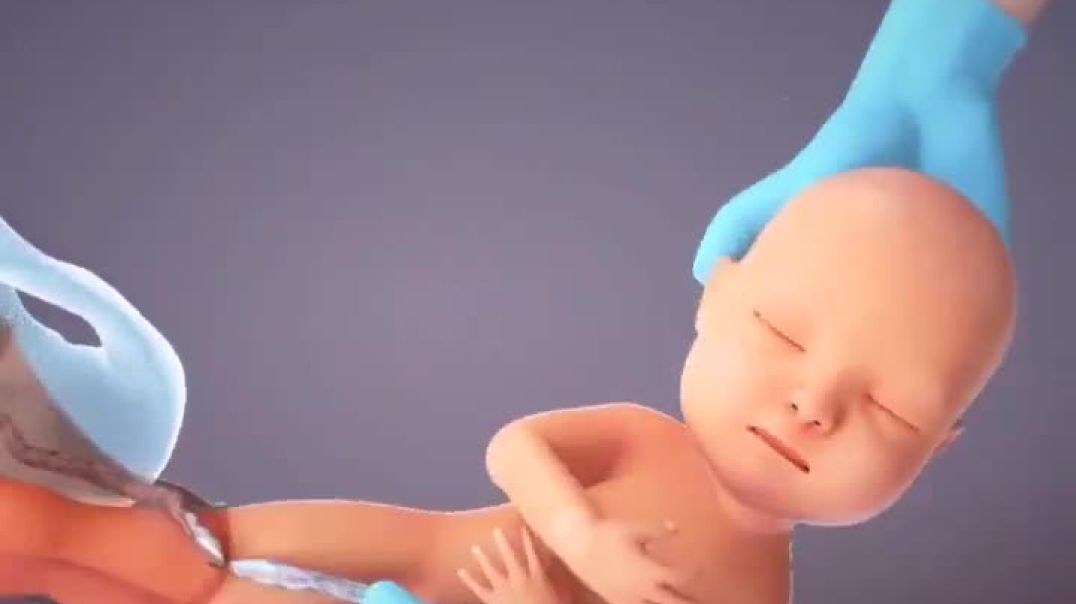From Fertilization to Childbirth- 3D Medical Animation