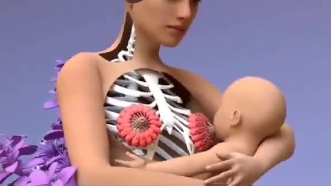 Breastfeeding | Know How Does it Work